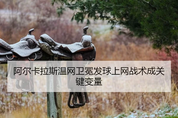 a-er-ka-la-si-wen-wang-wei-mian-fa-qiu-shang-wang-zhan-shu-cheng-guan-jian-bian-liang-2-925.jpg