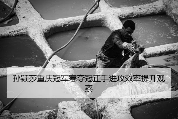 孙颖莎重庆冠军赛夺冠正手进攻效率提升观察