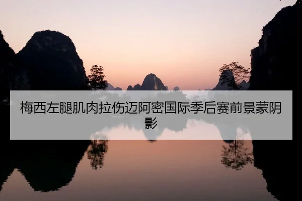 梅西左腿肌肉拉伤迈阿密国际季后赛前景蒙阴影
