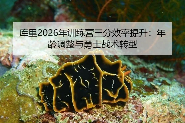ku-li-nian-xun-lian-ying-san-fen-xiao-lv-ti-sheng-nian-ling-tiao-zheng-yu-yong-shi-zhan-shu-zhuan-xing-3-791.jpg