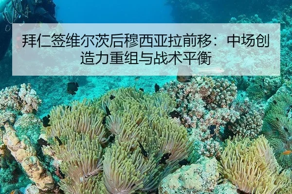 拜仁签维尔茨后穆西亚拉前移：中场创造力重组与战术平衡